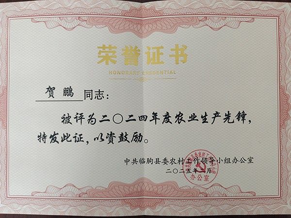 榮譽證書