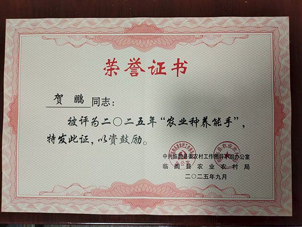 榮譽證書